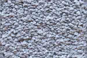 Ковролин AW Masquerade Narcisse 95 фото  | FLOORDEALER